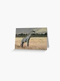 Image result for zebraffe