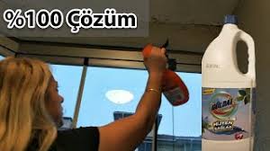 Duvarda oluşan küf lekeleri nemlenmeden dolayı ortaya çıkarlar. Kuf Ve Rutubet E Kesin Cozum Kolayca Rutubet Ve Kuf Giderme Youtube