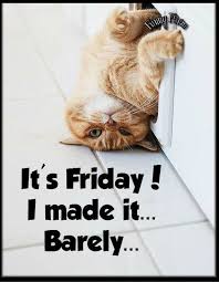 Find the newest friday good morning meme. Its Friday I Barely Made It Friday Quotes Funny Friday Humor Tgif Funny