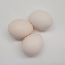 We did not find results for: Sajira Farm Telur Ayam Kampung Organik Selenium 15 Butir Terbaru Agustus 2021 Harga Murah Kualitas Terjamin Blibli