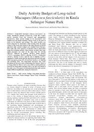 The selangor state government refers to the government authority of the malaysian state of selangor. Pdf Daily Activity Budget Of Long Tailed Macaques Macaca Fascicularis In Kuala Selangor Nature Park