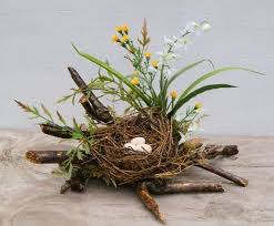 Bird Nest Spring Nest Coffee Table Decor Spring Decorating Coffee Tables Spring Centerpiece Bird Nest