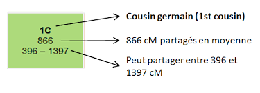 Vérifiez les traductions 'cousin germain' en russe. Retrouver Des Cousins Grace A L Adn Aupres De Nos Racines