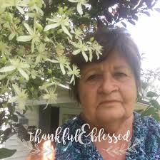 Historical Account of the Moffitt Family in North Carolina