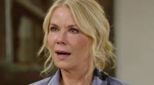 Cameron Mathison and Farah Fath Interview: Murder She Baked: A Plum Pudding  Mystery