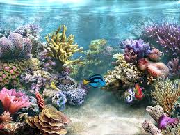 Resultado de imagen para fondos de pantalla animados gif