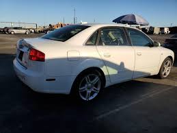 Image result for Arctic White 2006 A4