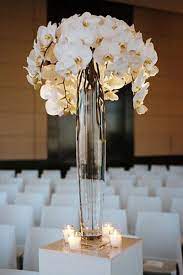 Flower Guide Orchids Flower Centerpieces Wedding Wedding Centerpieces Orchid Centerpieces