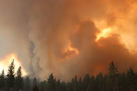 8 hours ago · california, tamarack fire the fire has burned about 21,000 acres near woodfords and markleeville in northern california 9:03 a.m. J3kvflpucn Qbm