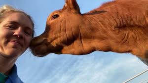 What a joy it is to raise these sweet, sweet babies! “Be Mine” has really  become my buddy in the last week or so 💜