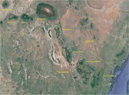 Image result for Balthasaria schliebenii