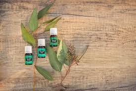 I only recommend using young living oils on animals at this time. Eucalyptus Essential Oil Uses And Facts Young Living Essential Oils