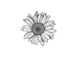 For those intrigued by the world of ink, we would like to present our collection of tattoo drawings. 45 Creative Tattoo Drawings For Your Inspiration Seshell Blog
