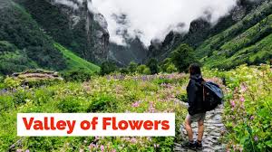 Valley of flowers uttarakhand india. Valley Of Flowers Trek Uttarakhand Heaven On Earth Youtube