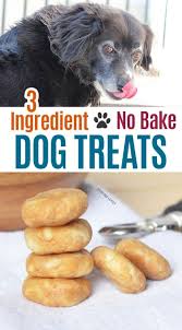 There seems to be as much bs about dog diets as human diets. 3 Ingredient No Bake Dog Treats Make Perfect Homemade Pill Pockets Healthy Dog Treats Homemade Dog Treats Homemade Recipes Dog Biscuit Recipes