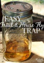 Goodbye House Flies Easy Diy Fly Trap Homemade Version Homemade Fly Traps Diy Fly Trap House Fly Traps