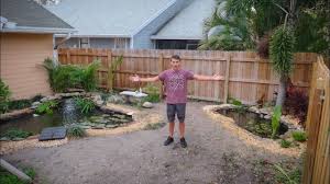 If you already have a pond or water feature in your backyard, you can incorporate edible plants simply by submerging the potted plant into your existing pond or planting into a floating basket. Backyard Fish Pond Update Feeding Youtube