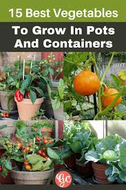 Maybe you would like to learn more about one of these? 15 Best Vegetables To Grow In Pots And Containers Gardening Chores
