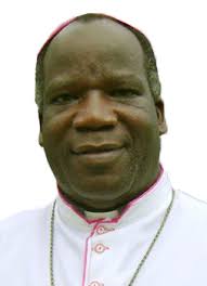 AMECEA NEWS: February 2014