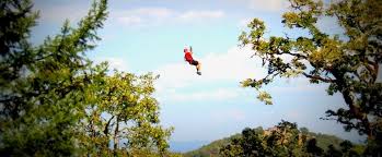 Zip code 97525 city gold hill state oregon (or). Rogue Valley Zipline Adventure Zipline Experience Nestled In The Historic Gold Mining Hills Of Beautiful Southern Oregon