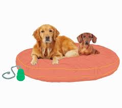 Select your favorite female dog name from our name list. The Most Popular Dog And Cat Names In Chicago Rover Com