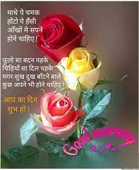 Flowers good morning quotes in hindi with images. Pin By Crystal On Good Morning Good Morning Flowers Good Morning Beautiful Images Good Morning Wishes