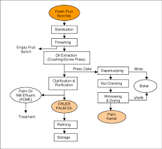 1 Palm Oil Process Flow Chart Adapted From Fao 2002