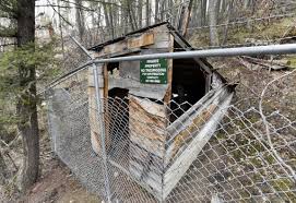 Image result for kaczynski bombs