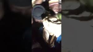 Regarde des vidéos courtes sur #fatahi sur tiktok. Download Abdul Sirrin Fatahi Ft Ahmad Shehi Tajil Ixxi Kewa Mp4 3gp Hd Waploaded Movies Netnaija Fzmovies