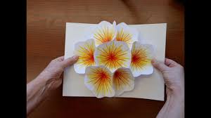Supplies you will need for collecting and pressing. How To Make A Bouquet Flower Pop Up Card Youtube