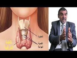 ماهي اعراض الغدة الدرقية وماهو علاج الغدة الدرقية Dr Mohamed Faid الدكتور محمد الفايد Youtube Youtube Movies Movie Posters