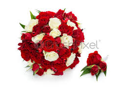 We did not find results for: Bridal Bouquet With Red And White Roses Stock Photo Crushpixel