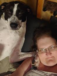 Still looking for a small-medium sized pup or young dog in Pottsville area  for support animal. I live in apartment building.