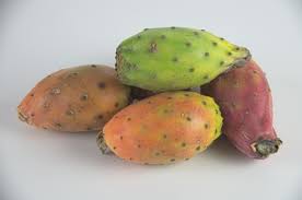 Image result for prickly pear