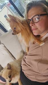 Pomeranian breed standards and types