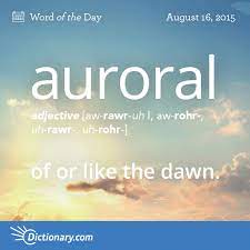 Dictionary Com On Twitter Dictionary Words Uncommon Words Word Of The Day