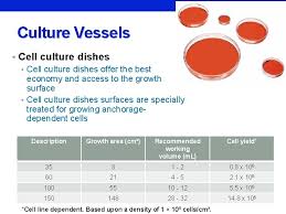 Check spelling or type a new query. Cell Culture What Is Cell Tissue Culture Tissue