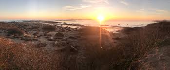 We did not find results for: Ano Nuevo State Park Photos Facebook