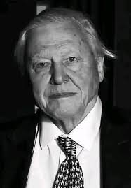 Happy birthday to a true legend of conservation! The one and only Sir David  Attenborough turns 98 today 🎉 Thank you for continuing to inspire us, Sir  David 🌍💚