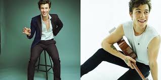 Shawn mendes became a known face when he started posting song covers on vine. Shawn Mendes Net Worth Biography Age Height Girlfriend Starswiki