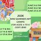 JUNE 23 & 25 - MINI ART CAMP