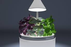 Sproutsio S Smart Growing System Will Revolutionize How You Get Your Greens Aeroponics Farming System Fresh Fruit