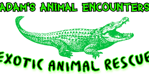 Adam's Animal Encounters- Reptiles Revealed!