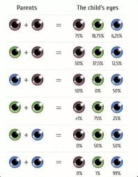 Eye Color Gene Probability Chart Eye Color Chart Eye