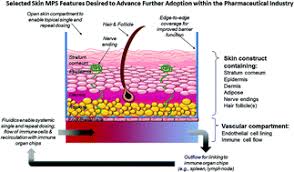 Testing of toxicity of environmental pollutants in cell culture; Drug Induced Skin Toxicity Gaps In Preclinical Testing Cascade As Opportunities For Complex In Vitro Models And Assays Lab On A Chip Rsc Publishing