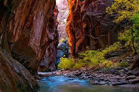There is so much to do in beautiful and sunny. 8 Things You Didn T Know About Zion National Park U S Department Of The Interior