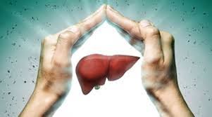 If your liver stops working properly, you may need a transplant. World Liver Day Life After Liver Transplant Lifestyle News The Indian Express