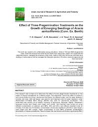 Image result for Acacia pilispina