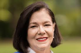 Examining 2020 Presidential Election voter turnout in Central SW Village of  Bartlett: Precinct Wayne 40