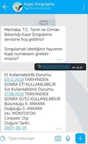 Bip Ten Kurban Sagligi Sorgulama Servisi